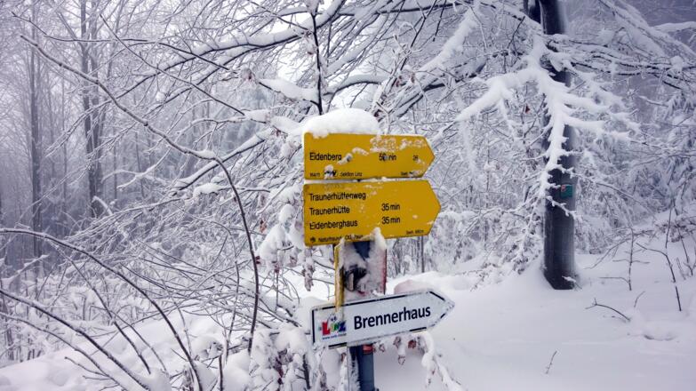 Über Brennerhaus zum NF-Haus Eibenberg