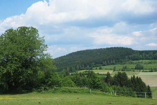 Gr. Stiftungsberg 897m von Witzelsberg gesehen