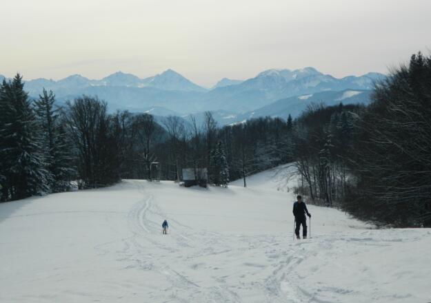 Aufstieg gegen Hallermauern und Größtenberg