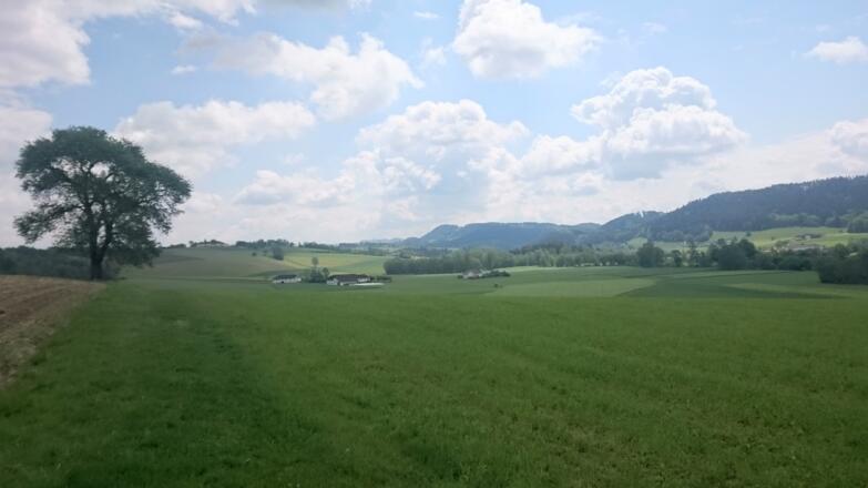 der Weg führt entlang vieler Felder