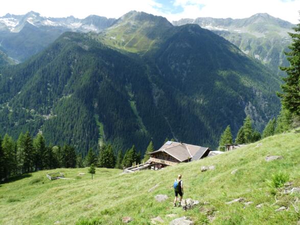 Die Bachwandalm