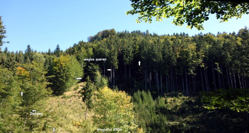 ab 750m wegloser Anstieg Langriedleck