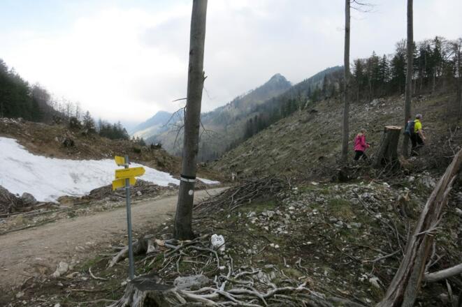 Abzweigung Richtung Mairalm/Traunstein