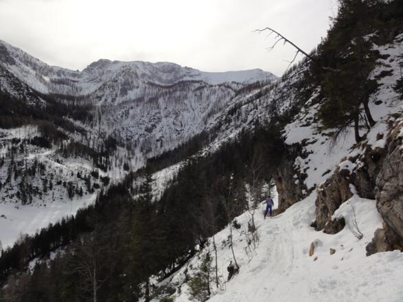 Forstweg - stürzen verboten
