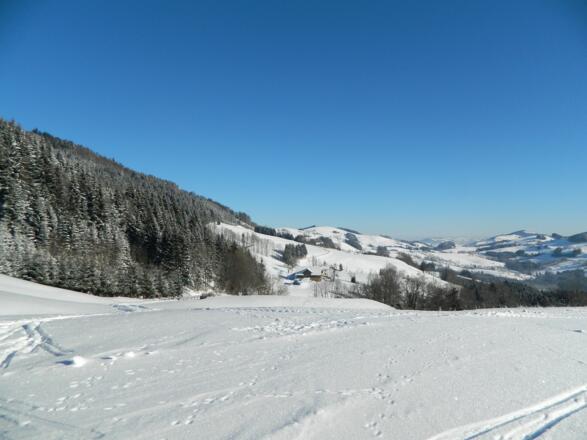Aufstieg Glasenberg - in Sicht: der Briefberg