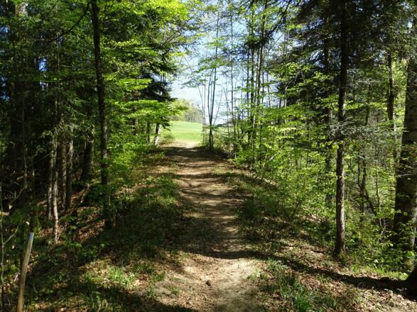 Ist das nicht herrlich?