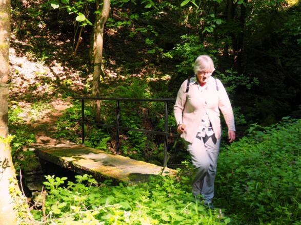 Brücke Katzbach 325m