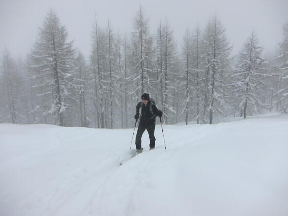 Austritt aus dem Wald bei der Wildalm (ca. 1616 m)