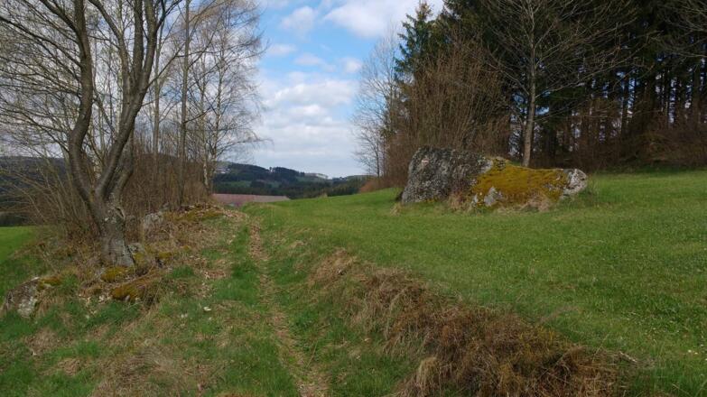 Wiesen & Felder & Steine