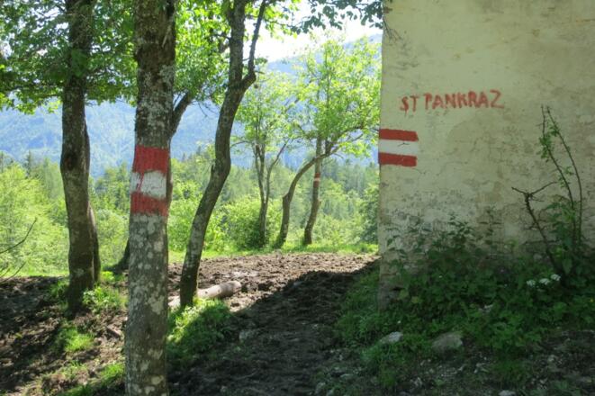 Vorbei am Saubachgut nach St. Pankraz