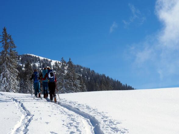 Plateau um 1565m mit Gipfelblick