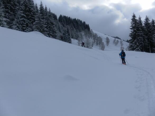 Abkürzung des Wegs zur Hocheggalm