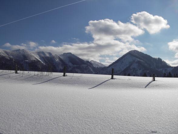 Blick von der Gschwendtalm zum Almkogel