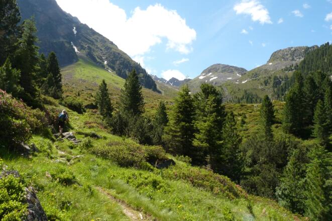 Der Zirbenwald lichtet sich und gibt eine herrliche Landschaft am Fuße des Habicht frei.