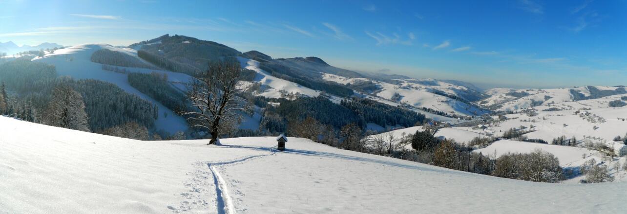 Aufstieg Briefberg - Blick ins Ramingtal