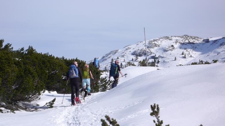 Auf dem Rückweg vom Wiesberghaus