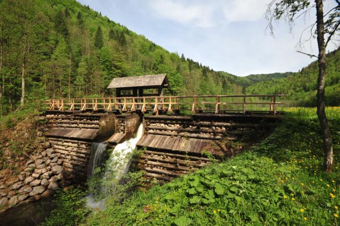 Die Schleifenbachklause wurde vom Nationalpark Kalkalpen und dem Verein Eisenstraße reaktiviert, nachdem ein Hochwasser die Klause zerstört hat und der Borsee zu verlanden drohte