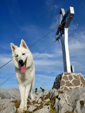 Lanouk am Gipfel der Rumer Spitze