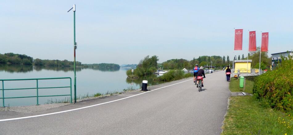 Au an der Donau