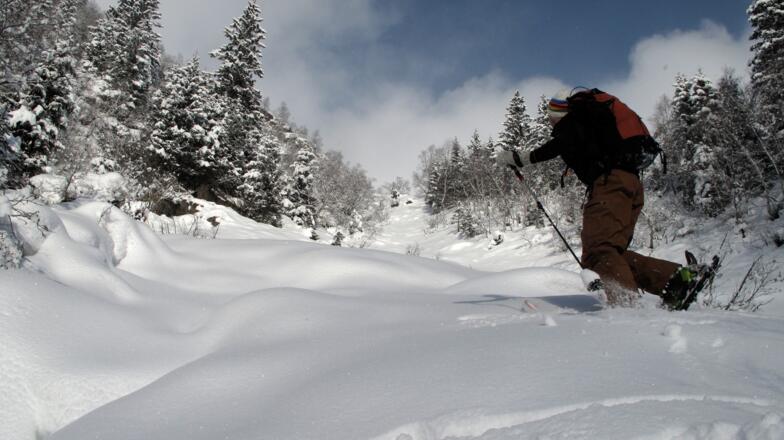 Am Beginn des Aufstiegs geht&#039;s 200hm durch ungemütliche Latschen.