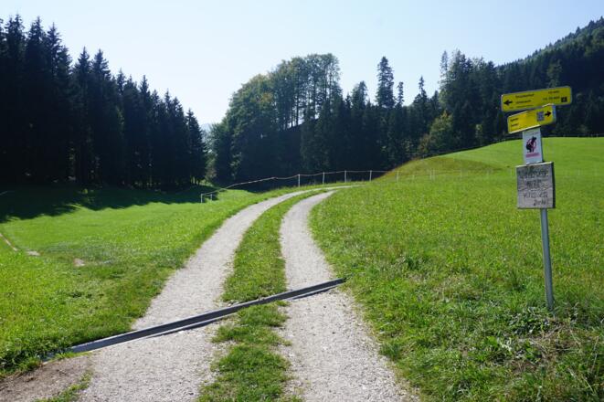 Weiterweg vom Egelsee zum Druckerhof