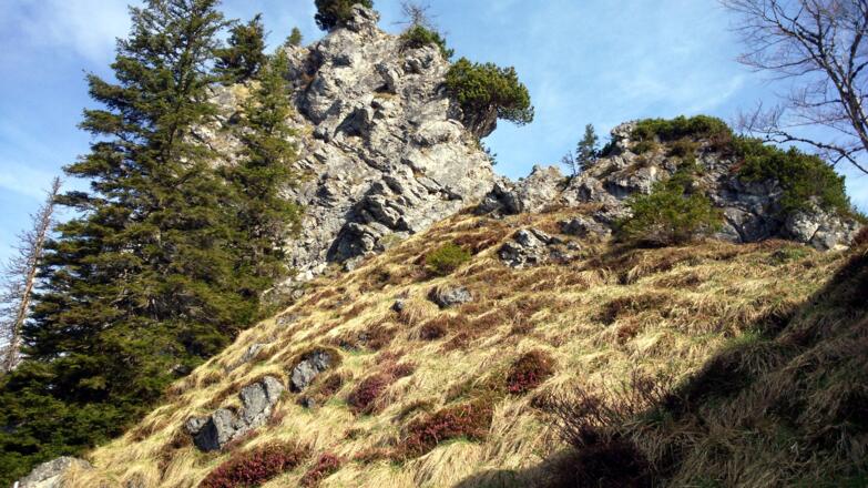 Am Südgrat um 1430m