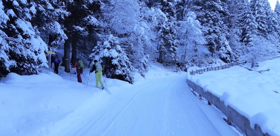 ... links der Sommerweg zur Furggesalm abzweigt.