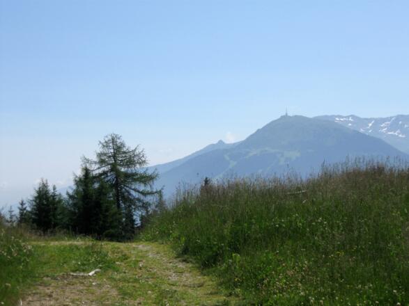 Blick zum Patscherkofel