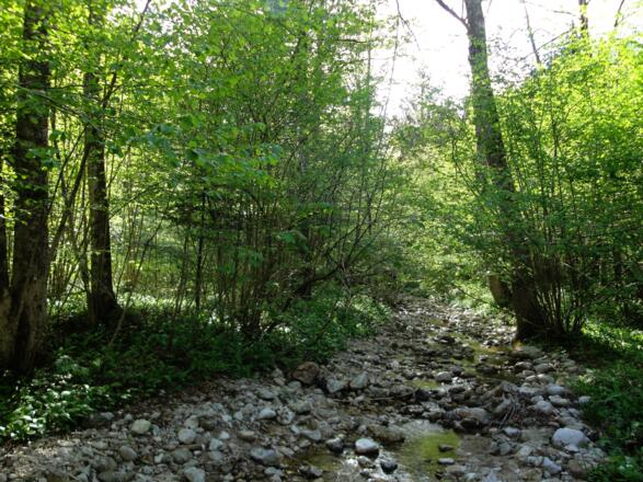 Kinder finden Möglichkeiten zum Spielen im Jainzenbach