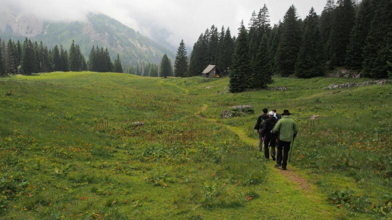 Am Rückweg von der Polzhütte zur Feichtauhütte (5 min Fußmarsch)