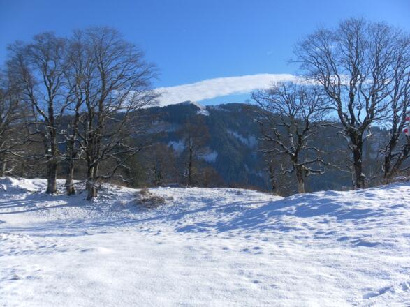 Hohe Kugel