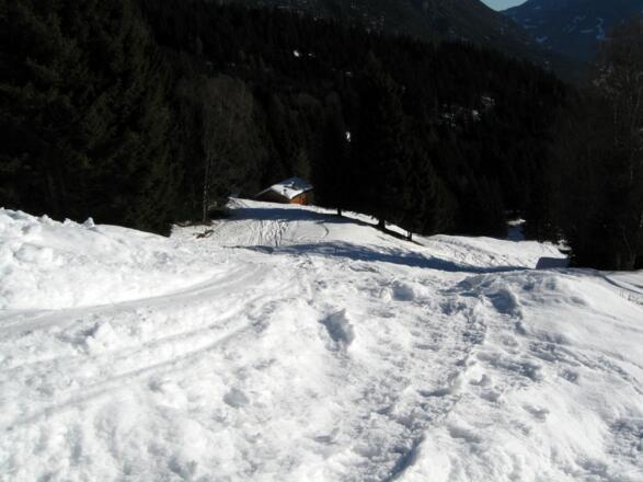 Bald wird es steiler und man geht in einer deutlichen Waldschneise aufwärts.