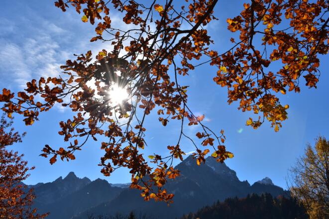 Herbstimpressionen entlang des Weges (Symbolbild)