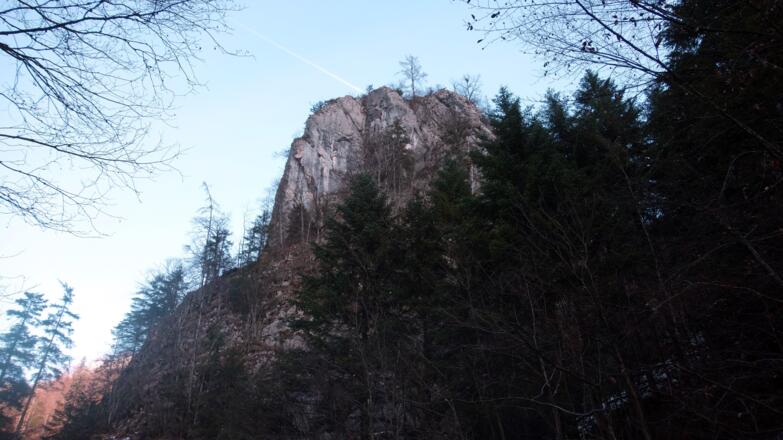 Felsturm ~540m vom Wendbachtal