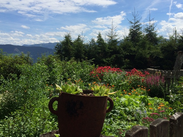 Kräuter- und Blumengarten von der Roslalm