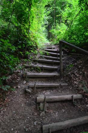 Eindruck vom Weg im unteren Bereich