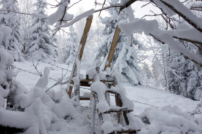 Zaun Überstieg ~875m zum Widhag 907m
