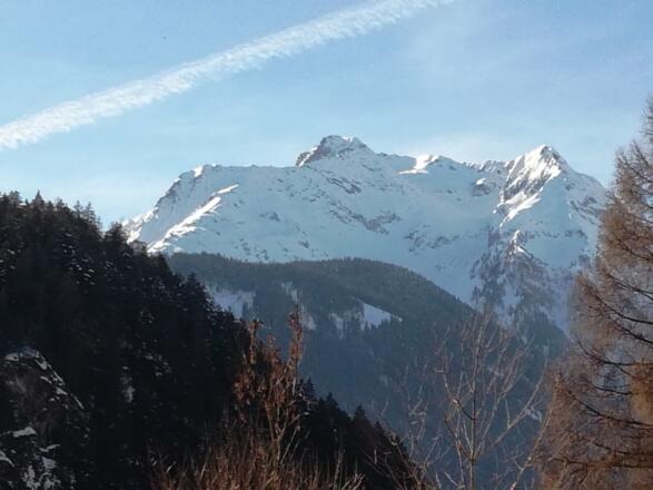 Grinbergspitze von Mayrhofen