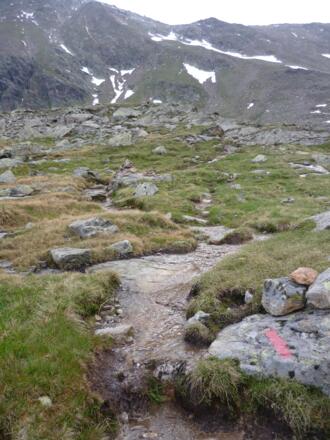 Der Weg ist gut markiert