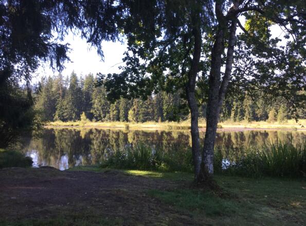 Gieringer Weiher