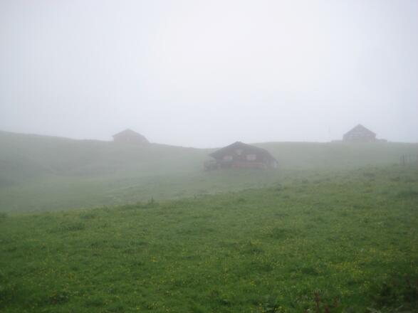 Loferer Alm (2. Juni 2011)