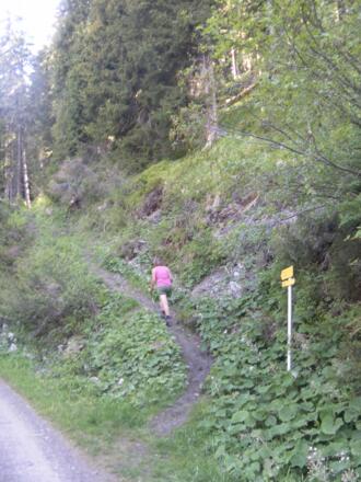 Almstraßenquerung