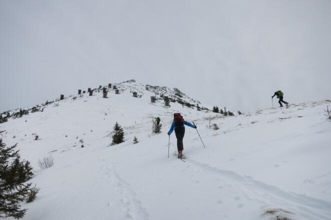 Gipfelhang mit Lawinenverbauung