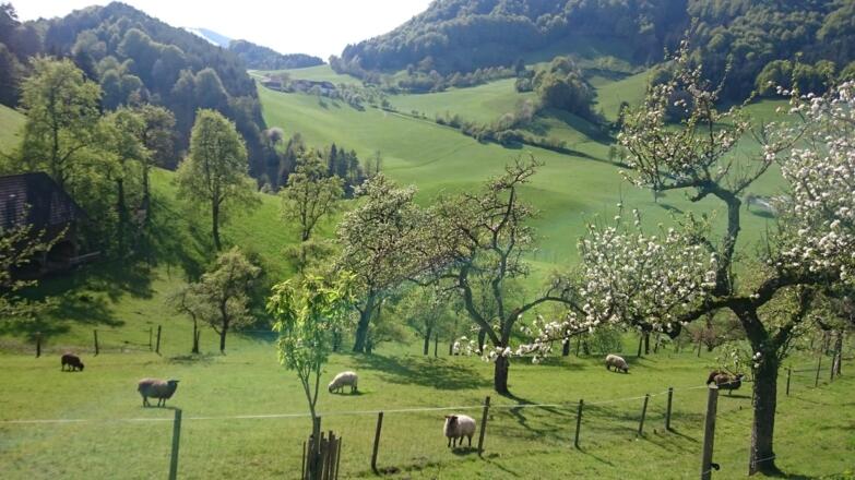 Blick in den Wurmbachgraben
