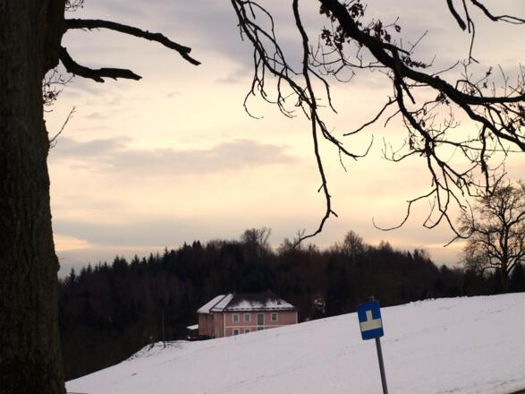 Weg 50 auf 505m wieder erreicht, rechts ab.