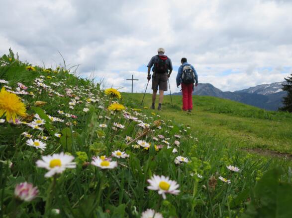 Die letzten Meter zum Feilkopf-Gipfelkreuz.