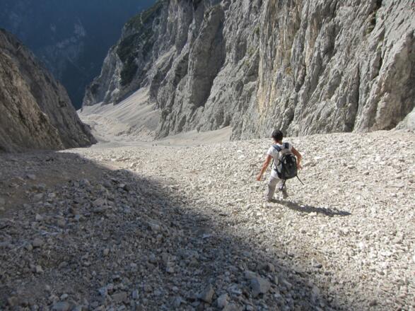 Die mächtige Wechselreise zieht hinunter bis in den Talgrund des Halltals.
