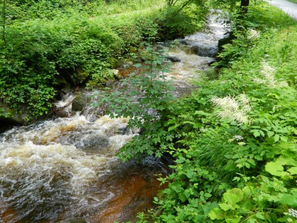 Ein typischer Bach des Mühlviertels: die kleine Ysper