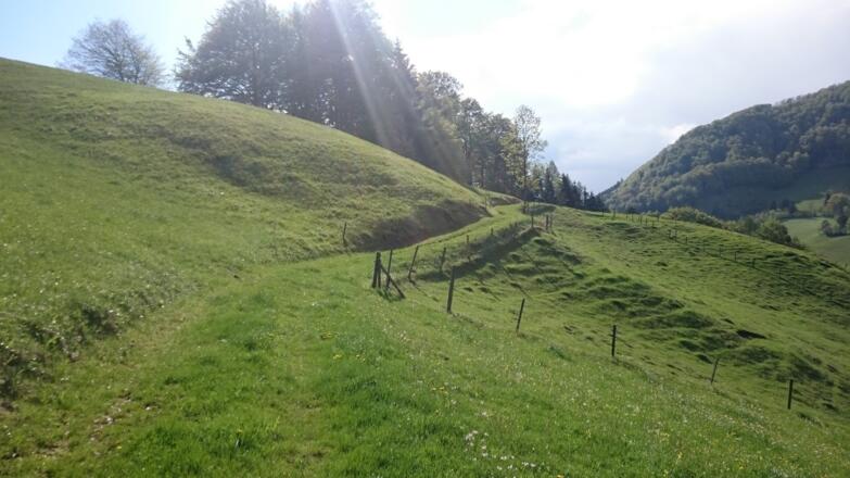 alte Wegverbindung vom Wurmbachgraben nach Losenstein