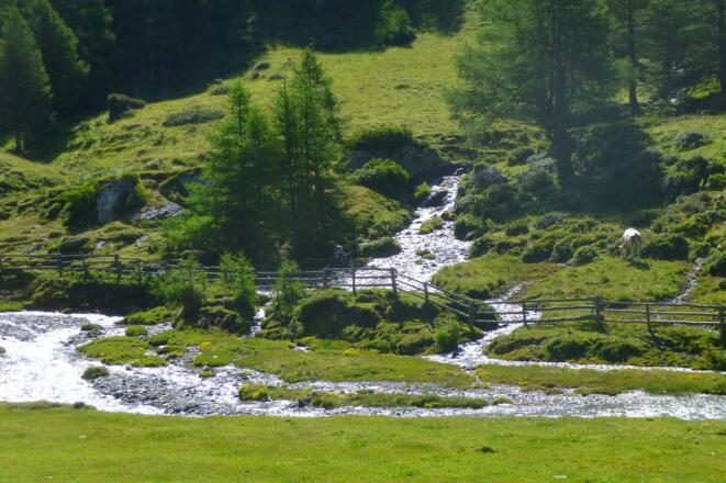 Steiner Bach